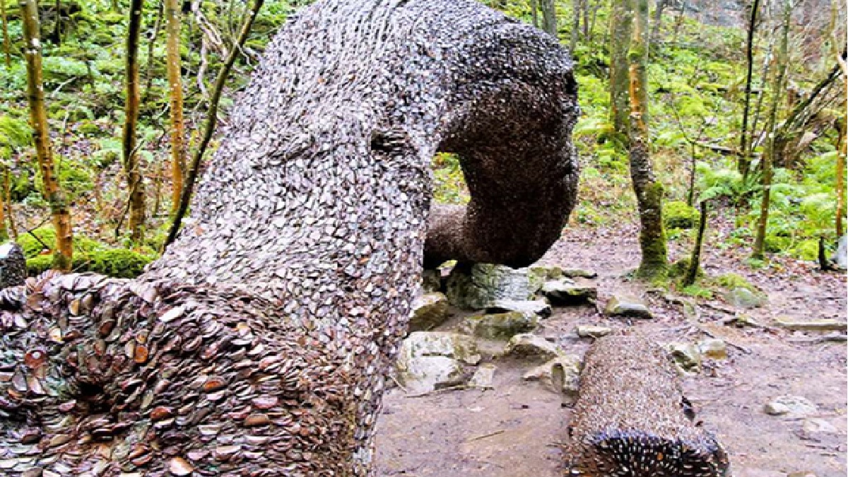 a-tree-coverd-with-coins-in-scotland-and-people-come-see-around-the-world