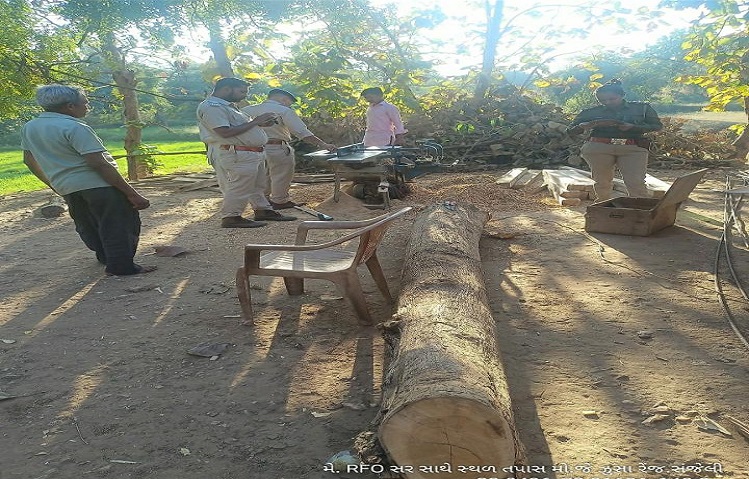 a-quantity-of-red-sagi-wood-of-forest-department-was-seized-at-jussa-village-of-sanjeli-taluka