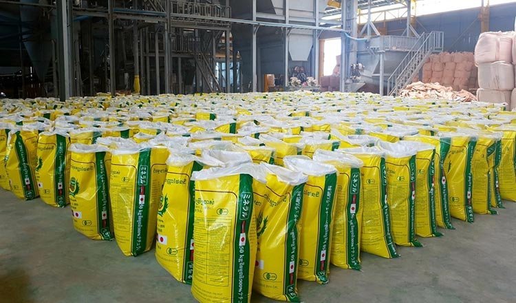 48983-bags-of-urea-fertilizer-will-be-available-in-chotaudepur-district