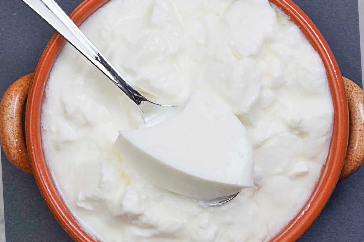 You will be surprised to know these health benefits of eating curd in winter