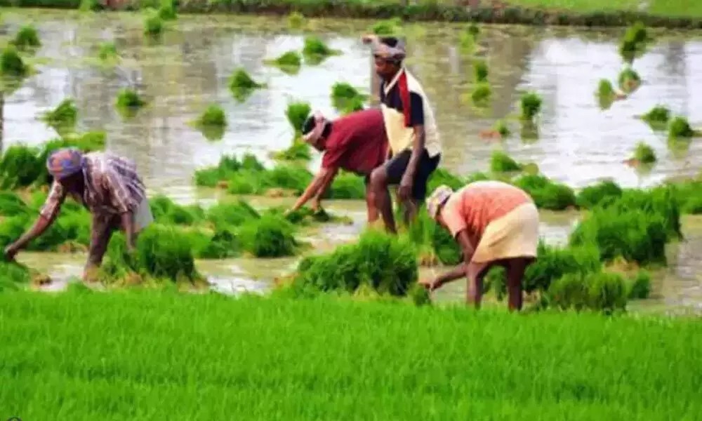 A training and motivational tour will be held for horticulture farmers of Panchmahal district