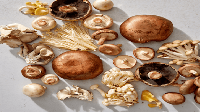 Kitchen Tips: Try these simple tips to keep mushrooms fresh for longer