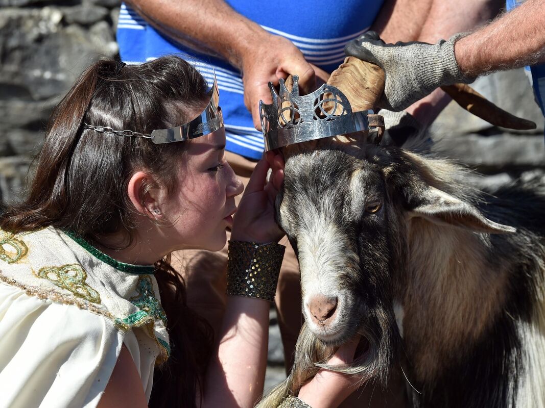 The Goat Who Became King: Know the country where goats are made kings