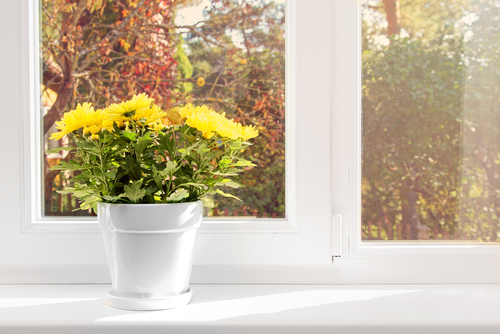 keep-yellow-flowers-in-this-auspicious-direction-in-bedroom-to-increase-love-in-married-life