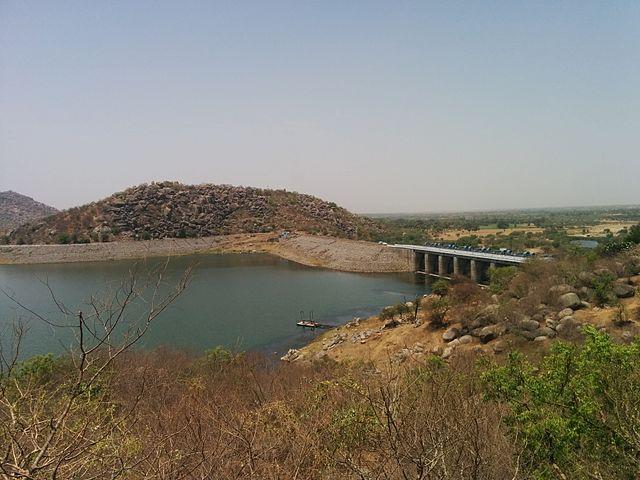 fry-were-seen-in-the-irrigation-ponds-of-halol-ghoghamba-and-jambughoda