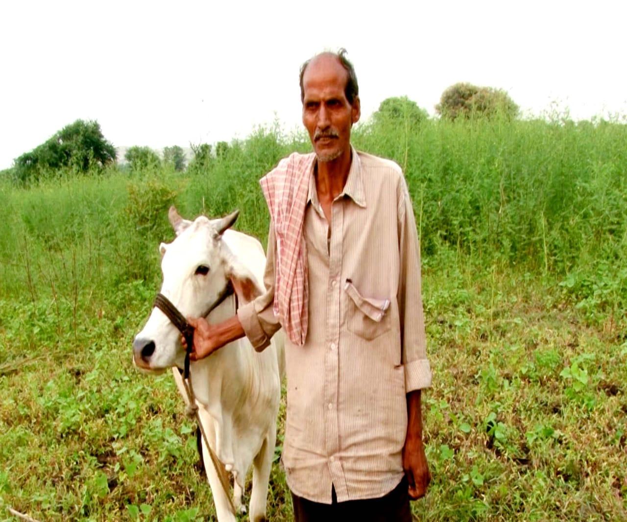 There is no worry about mine donation by getting cow maintenance expenses Beneficiary: Jamnabhai Rathwa