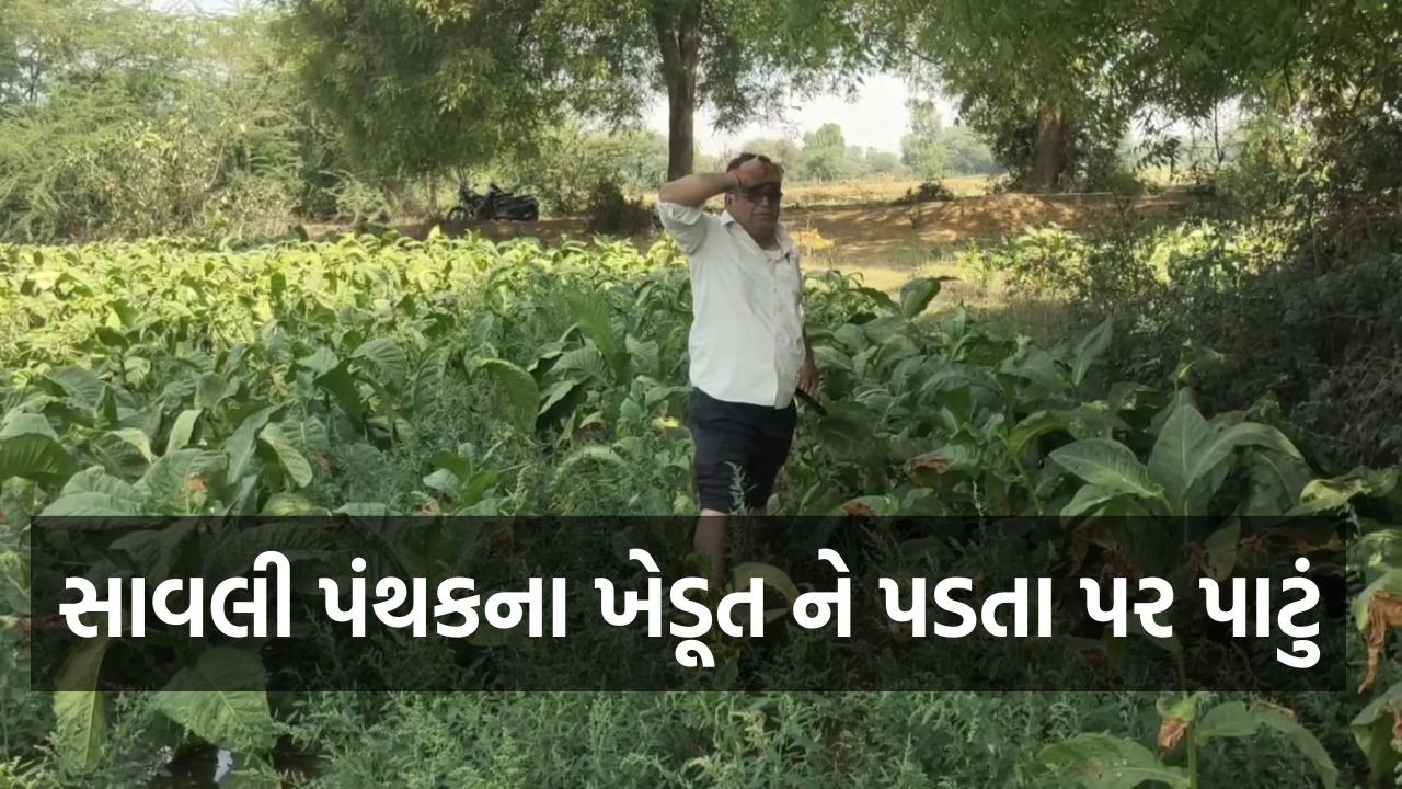 Due to the hard work of the farmer, the leakage water of the underground line of Narmada Yojana has returned.