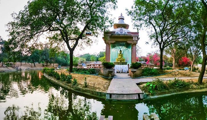 What is in Delhi's Buddha Jayanti Park, where couples arrive every Sunday