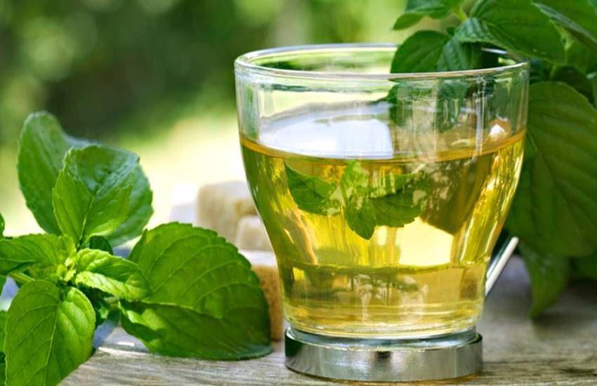 Mint is a boon for health in summer, the benefits are such that you will be amazed