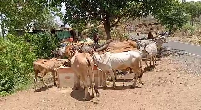 An ashram was built in a sinful place called Chambal of Gujarat, and today the Gangotri of Punya flows