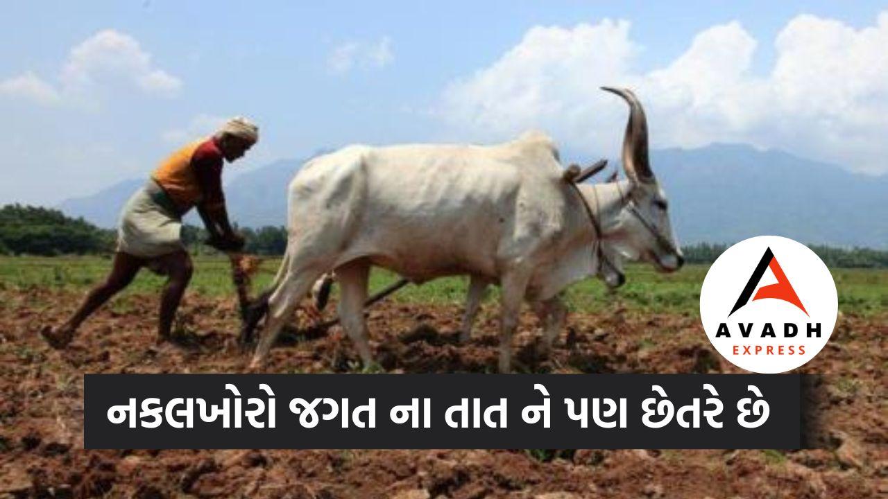 Fake Fertilizer Seed Quantity Seized in Sub Bhumi Corruption Key in Gujarat