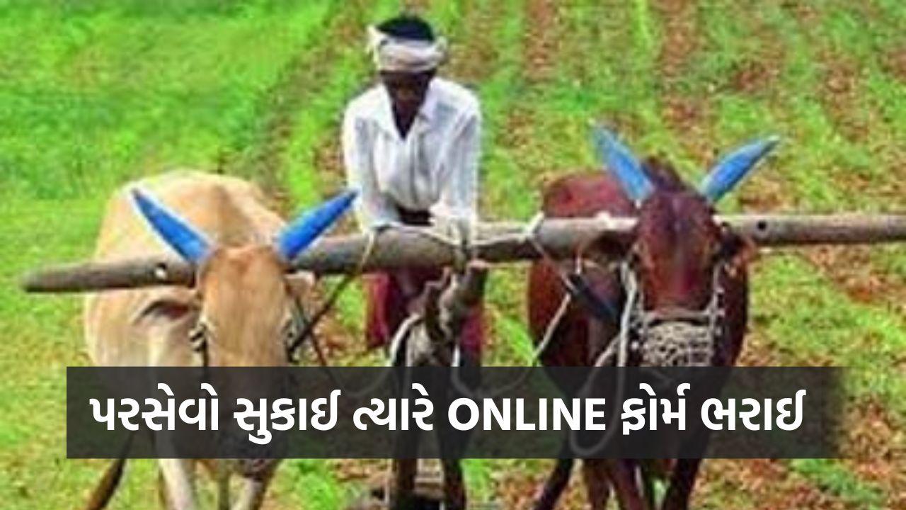 In one fell swoop, the Gujarat government scrapped 26 schemes for farmers