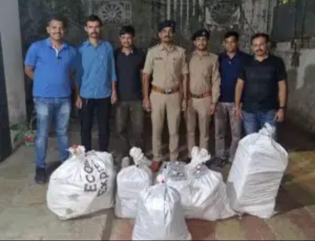 Surat police seized illegal marijuana worth 10 lakhs