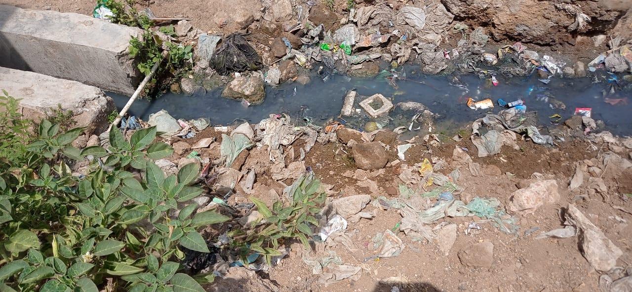 In Gurukrupa Society of Chhotaudepur Nagar, the drains overflowed with garbage heaps, the name of cleanliness.