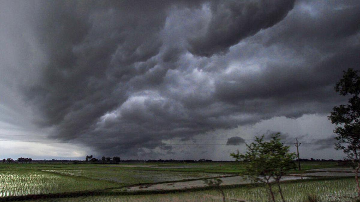 In Chotaudepur district Farmers have been requested to take precautionary measures considering the possibility of rain during 9th to 11th June.