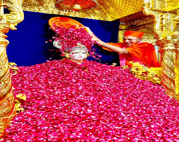 Maninagar, Sri Swaminarayan Mandir is beautifully decorated with more than 200 kg of rose petals of Sri Ghanshyam Maharaj...