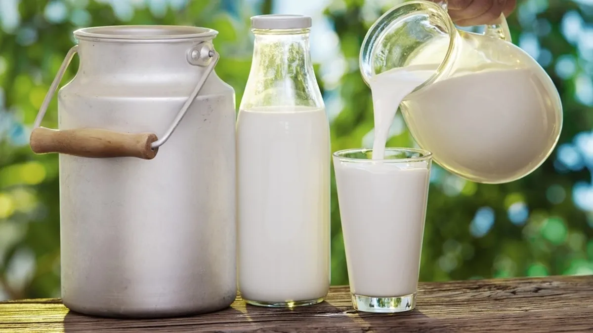 Apart from milk, these 5 foods are also rich in calcium, make it a part of your diet