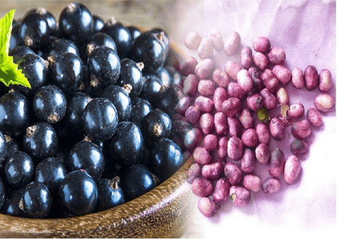 Jamun seeds are no less than boosters for health, know the innumerable benefits