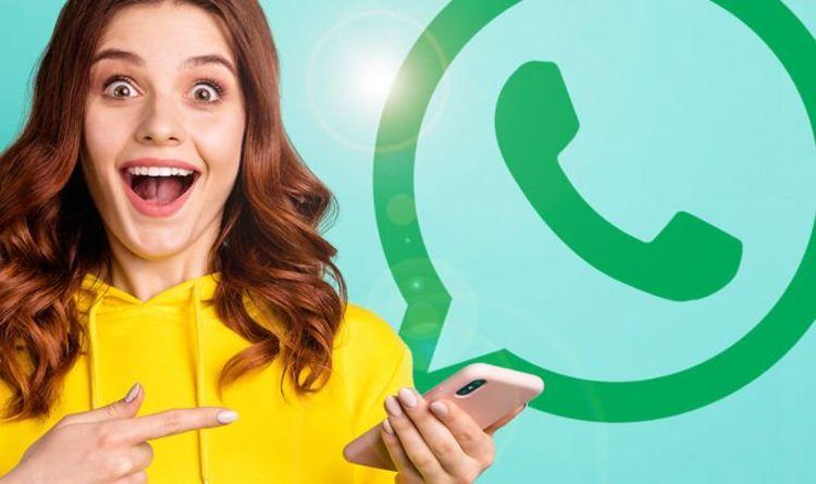 long-line-of-new-features-on-whatsapp-not-one-or-two-now-users-can-enjoy-3-features