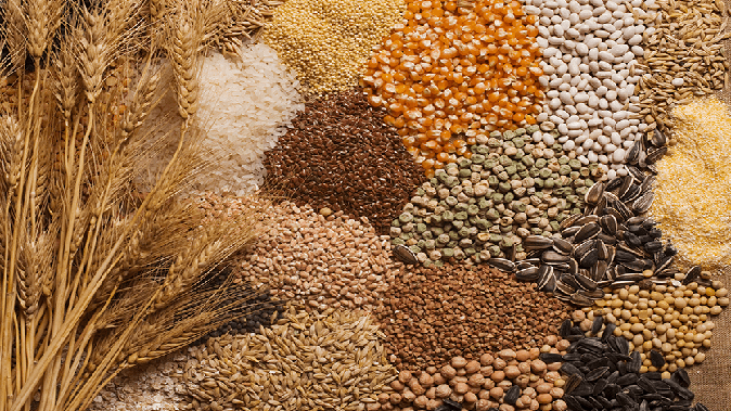 From blood sugar levels to blood pressure, seeds have many health benefits