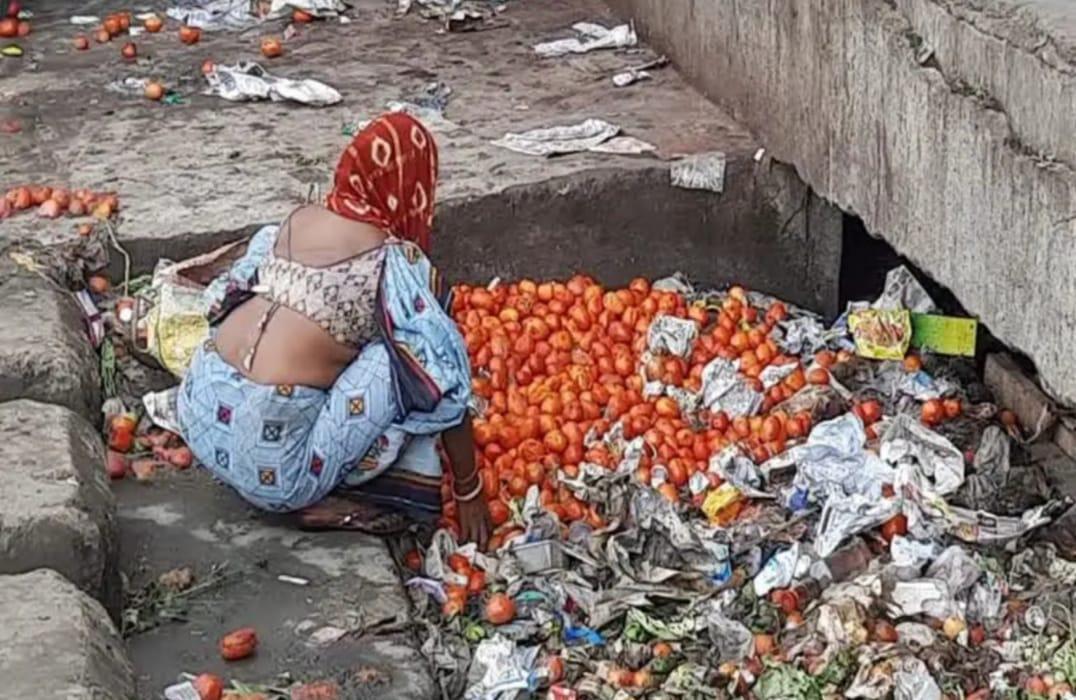 A woman weaves expensive tomatoes from garbage in Surat APMC something like this..