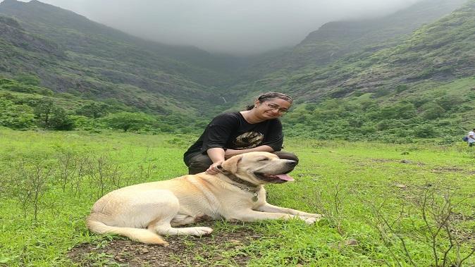 6 dogs trekked with their owners and reached Pavagadh Falls