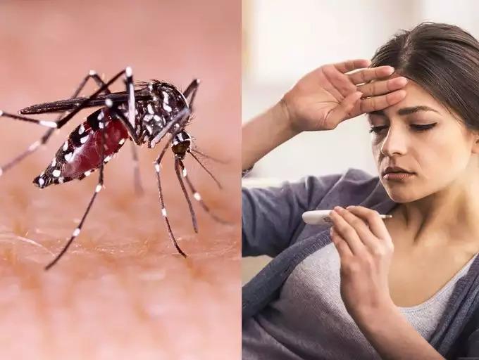 dengue-fever-include-these-foods-in-the-diet-of-a-dengue-patient-the-platelets-will-increase-rapidly