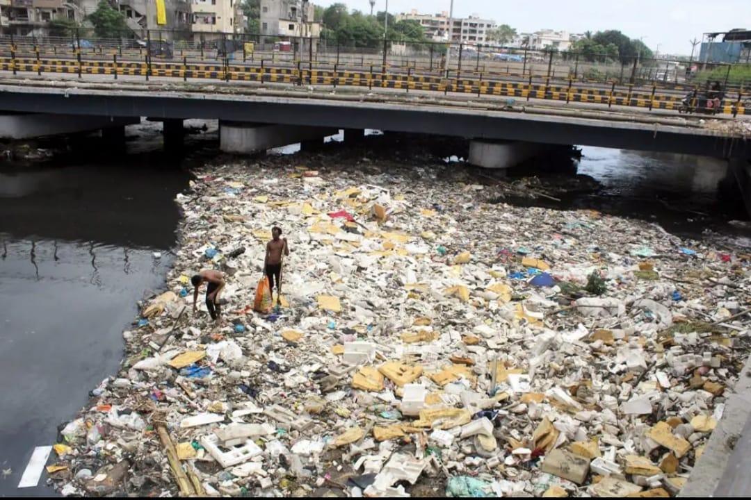 Lakhs of rupees spent on cleaning the bay in Surat city on paper