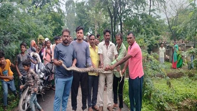 In Mundaheda village, a python came out of the house where the family was eating