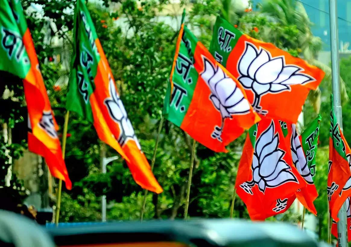 BJP's 'double surprise' in Gujarat, Rajya Sabha ticket given to two new faces away from debate, candidature also filled