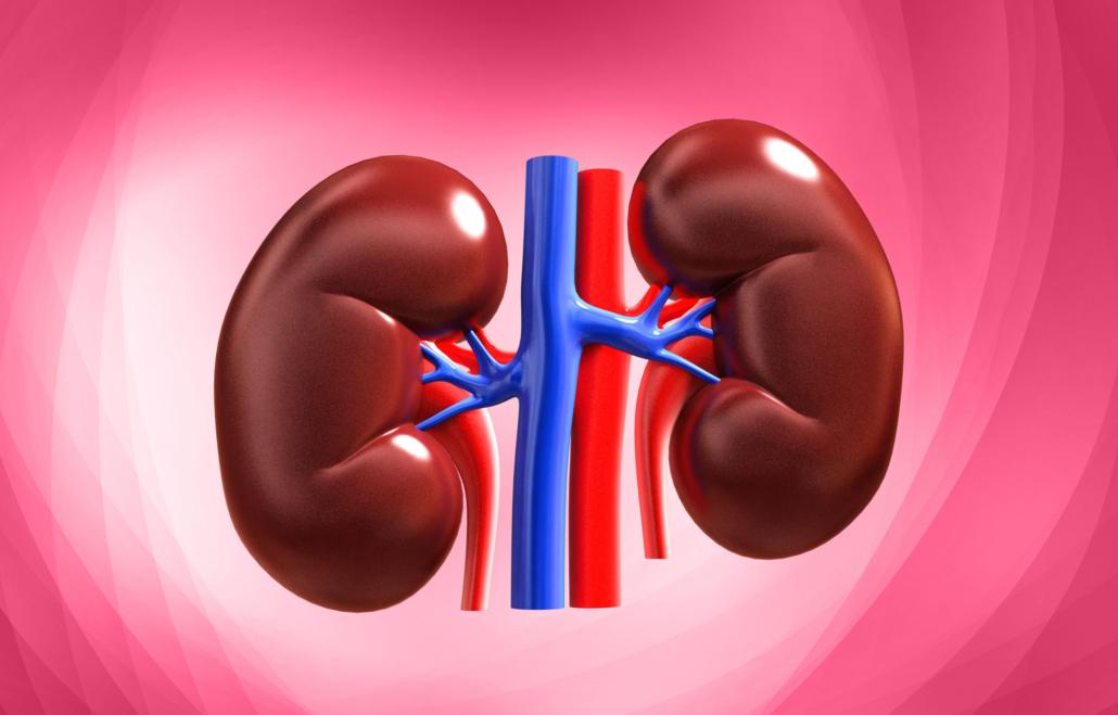 These four things are very harmful to your kidneys, improve these habits if you want to stay healthy