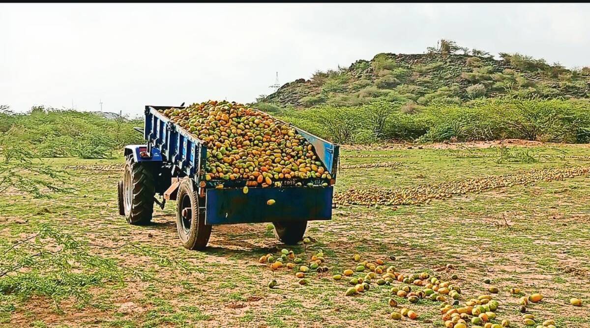 cyclone-biparjoy-agriculture-relief-package-2023