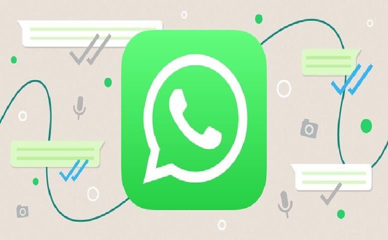 With whom do you talk the most on WhatsApp? List will appear with this cool trick