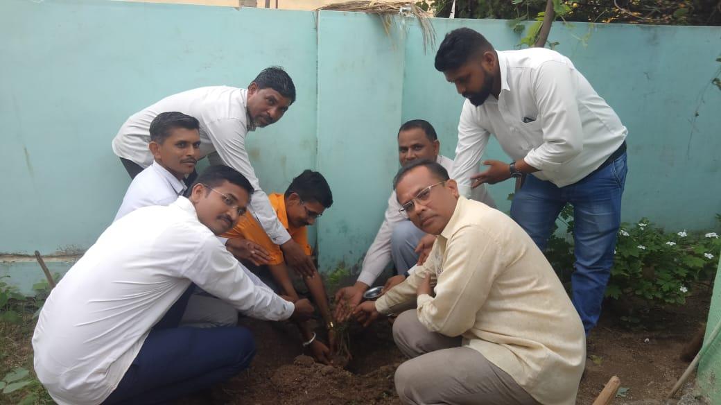 Adivasi Janjagriti Samiti Panchmahal organized tree plantation program at Gamirpura