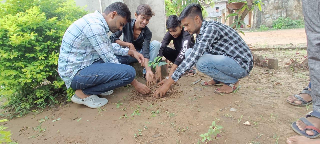 Plantation by Aman Foundation based at Nana Dharolia, Pavijetpur