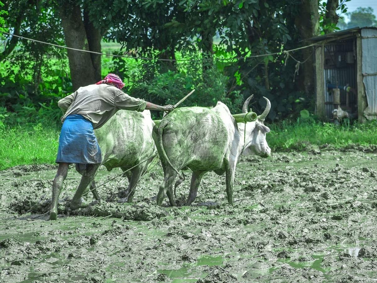 Good news for farmers, ₹12000 will come into their account; Who will benefit from the government?