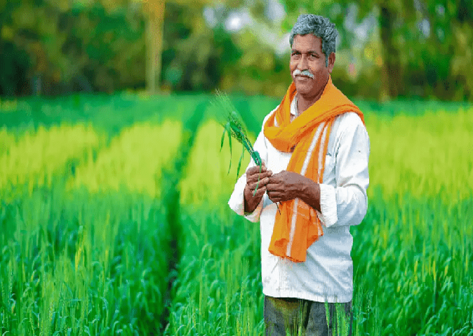 On August 15, farmers' debt was waived in this state, the government opened the treasury