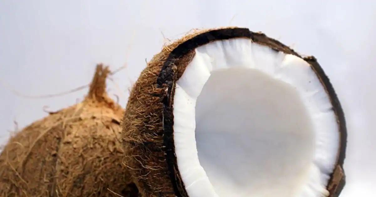 Why shouldn't women grow coconuts? You will be surprised to know the reason