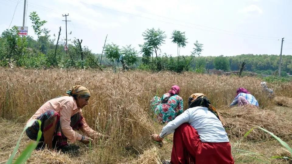 Farmers will be able to fill the form till September 22 for the kit-aid scheme for agriculture in four talukas affected by minerals in Chotaudepur district.