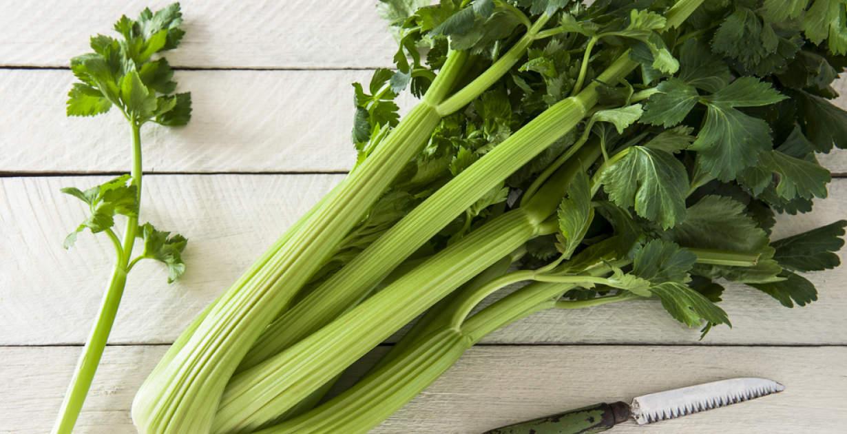 From weight loss to controlling high BP, learn about the amazing benefits of celery