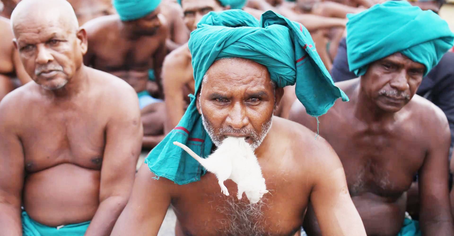 Farmers in Tamil Nadu protested the Karnataka government with dead rats in their mouths