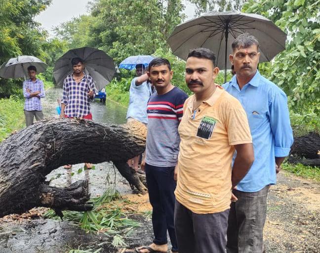 The public service of Kadwal Police removed the fallen trees in the rain and opened the road