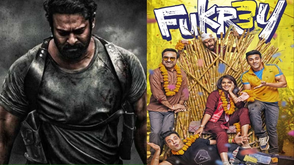 As Prabhas' 'Saalar' is postponed, 'Fukrey 3' will benefit, the theater will get a double dose of action and comedy.