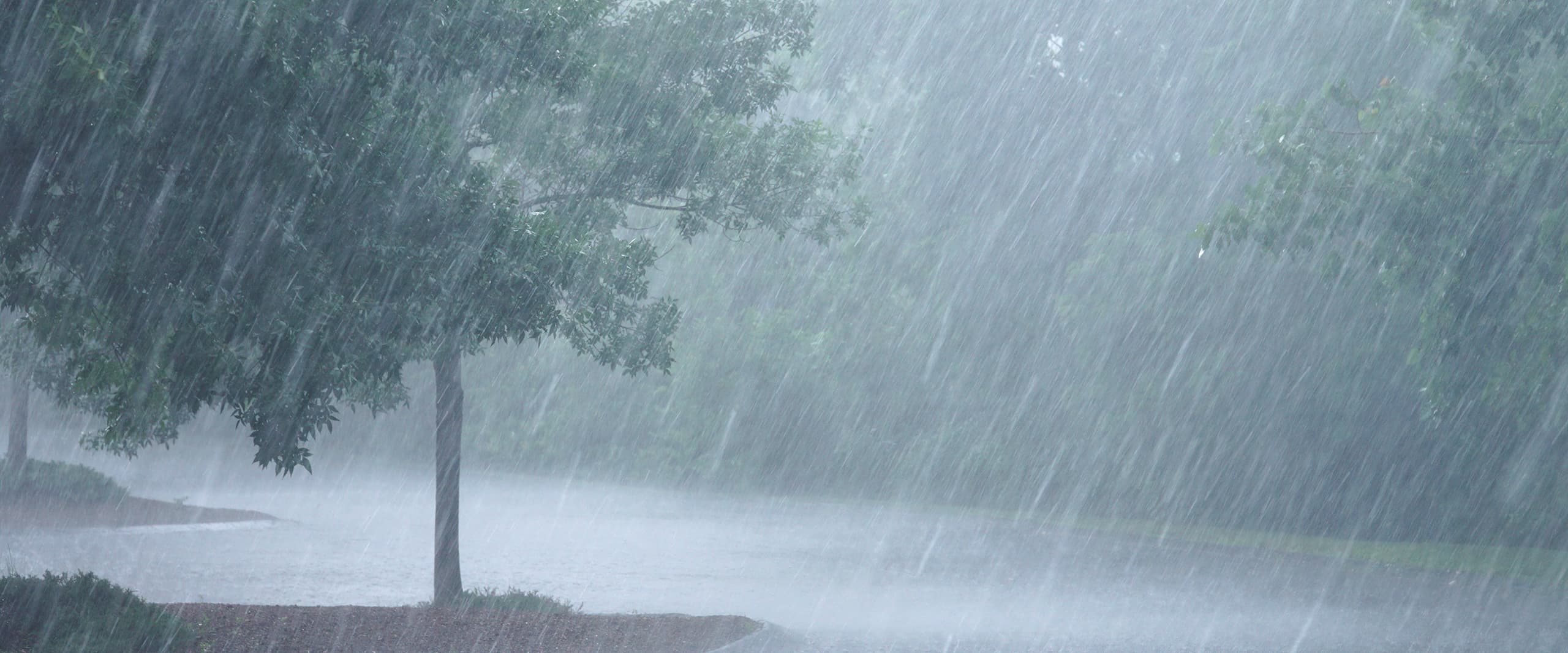 Gujarat received 886.03 mm of rain till Wednesday