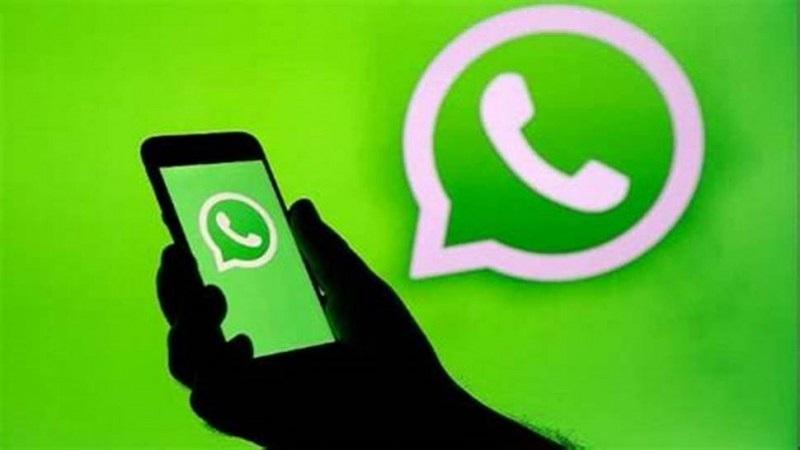 Search bar will be found in this feature of WhatsApp, know how it will be beneficial for users, know details here