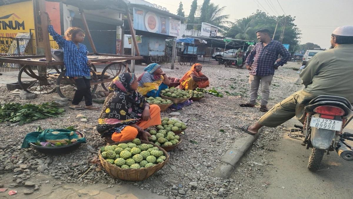 Among the wild produce of Chhotaudepur areas, the nectar-like sweet fruit is Sitaphal.