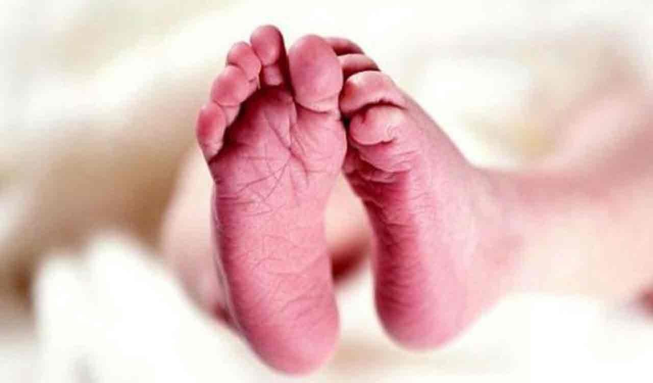 The organs of a five-day-old newborn gave life to three children, a case of Surat, Gujarat