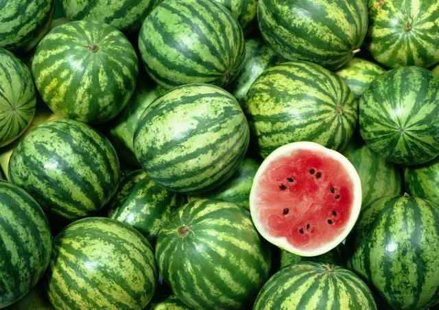 The price of 1 piece of watermelon is so much that it will cost a new car, it is not good for everyone