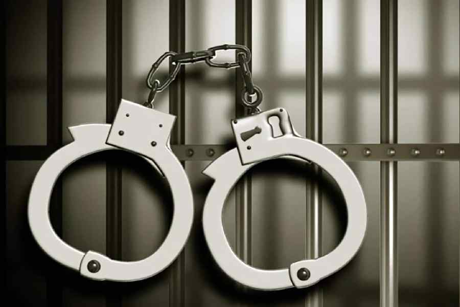 Aam Aadmi Party MLA's wife arrested, accused of firing illegal revolver