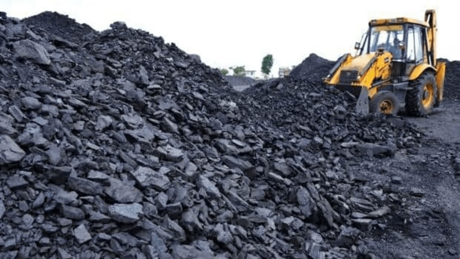 India will remain the top importer of coking coal, ISA president said